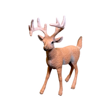 Load image into Gallery viewer, Forest Spa Kit