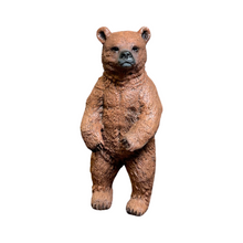 Load image into Gallery viewer, Forest Spa Kit