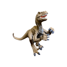 Load image into Gallery viewer, Dinosaur Spa Kit